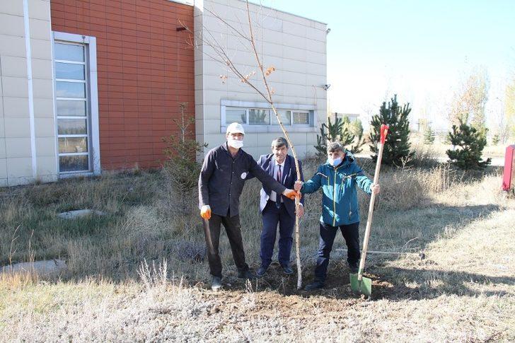 Erzurum GSİM bin fidan dikti G4