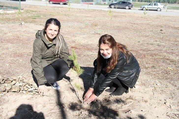 Erzurum GSİM bin fidan dikti G5