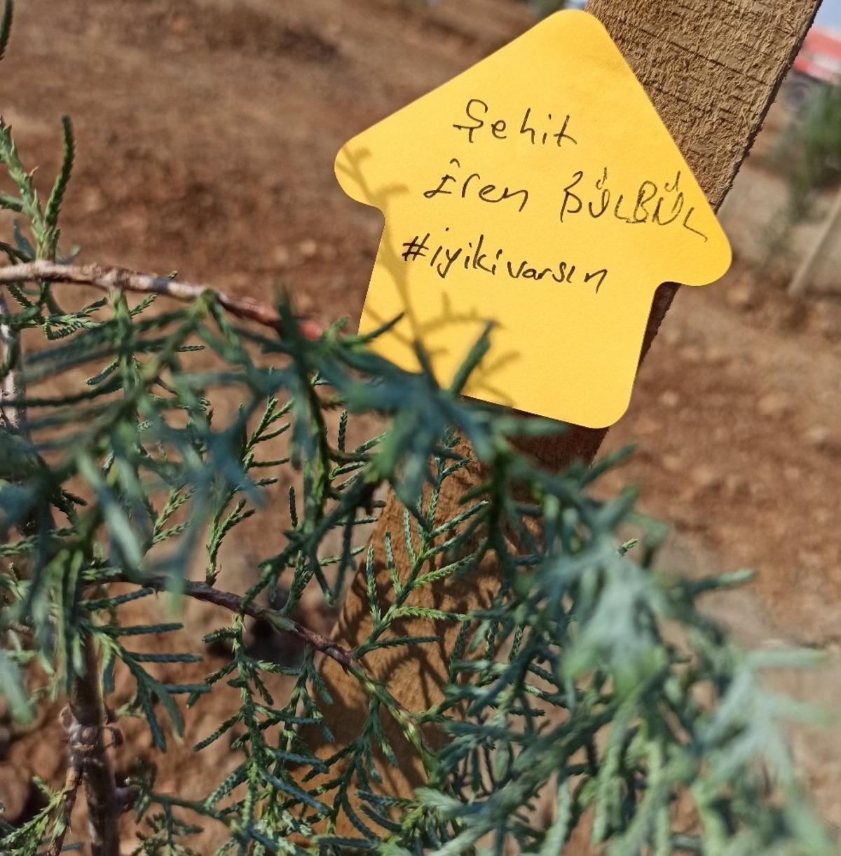 Dikilen fidanlara şehitlerin adı verildi
