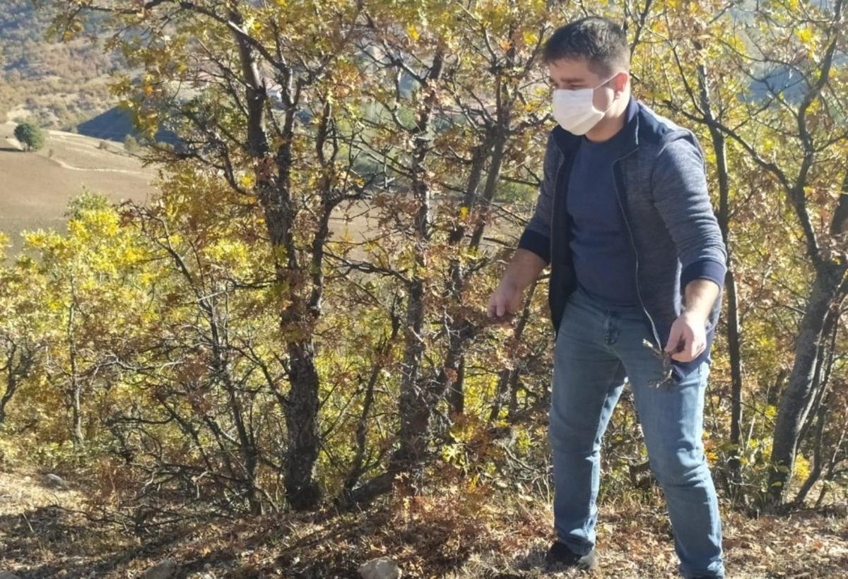 Sungurlu&rsquo;da s&uuml;ne s&uuml;rvey &ccedil;alışmaları başladı