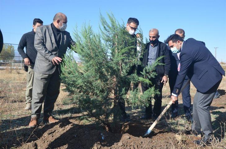 Bulanık’ta fidan dikimi G1