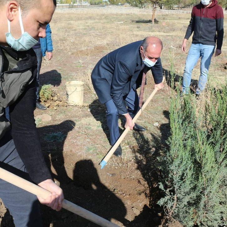 Bulanık’ta fidan dikimi G3