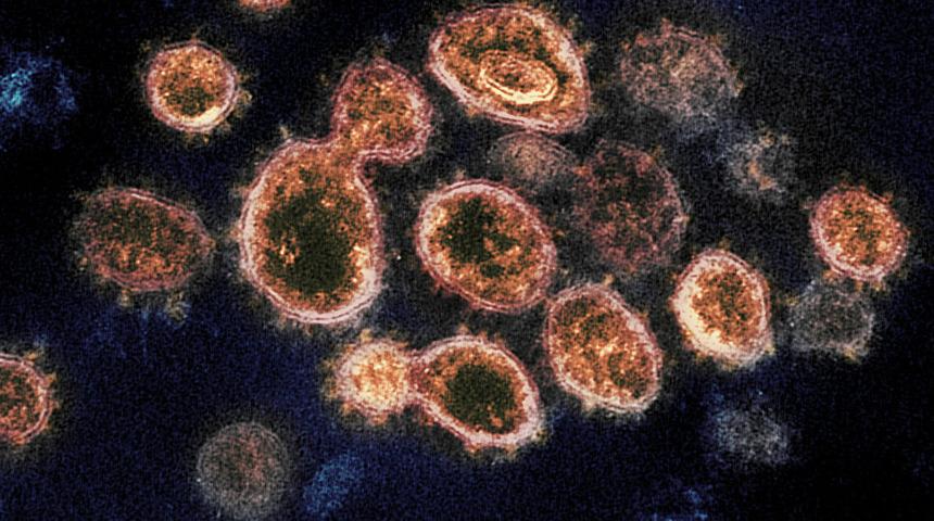 Koronavirüsün en gerçekçi 3D modeli elde edildi