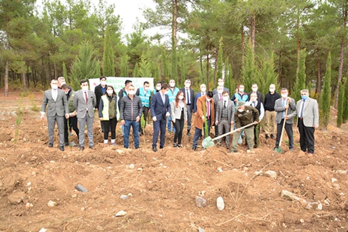 7 bin 200 fidan toprakla buluştu