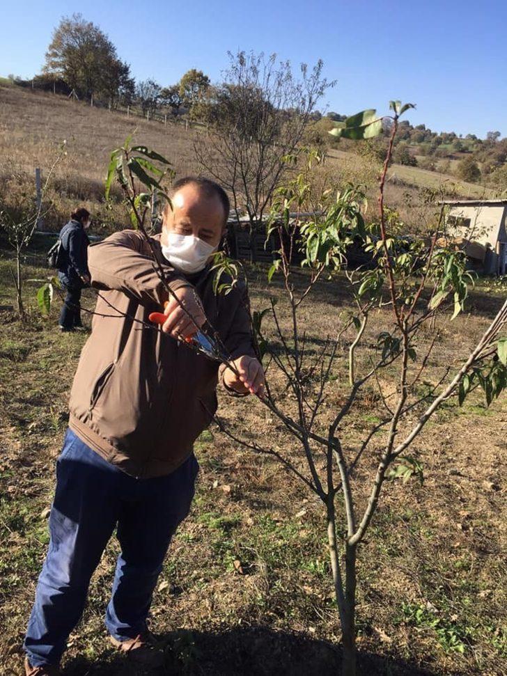 Bilecik’te atların ruam testleri yapılarak, mikroçipleri takılmaya devam ediliyor G4