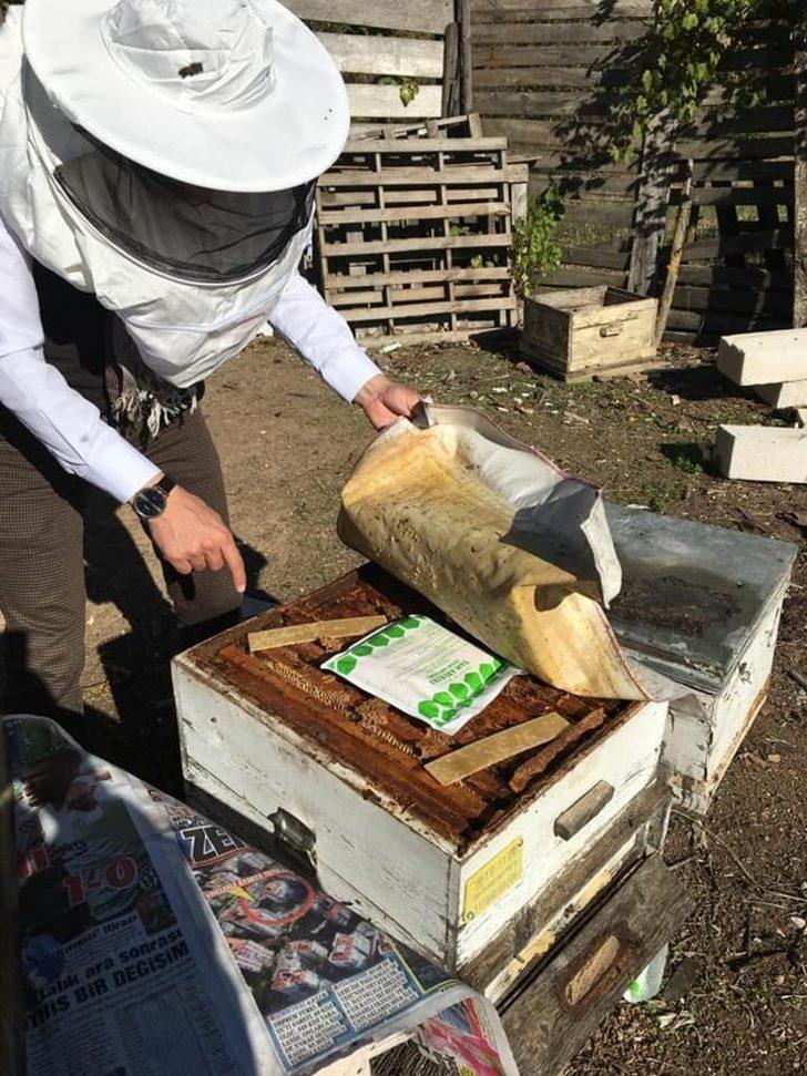 Bilecik’te atların ruam testleri yapılarak, mikroçipleri takılmaya devam ediliyor G5