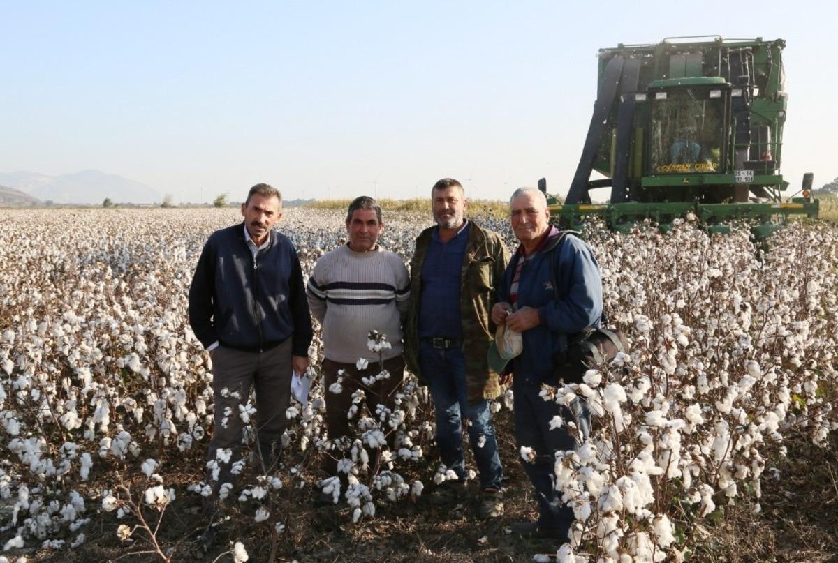 S&ouml;ke Ovası&rsquo;nda pamuk hasadında sona yaklaşıldı