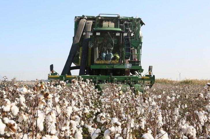 Söke Ovası’nda pamuk hasadında sona yaklaşıldı G2