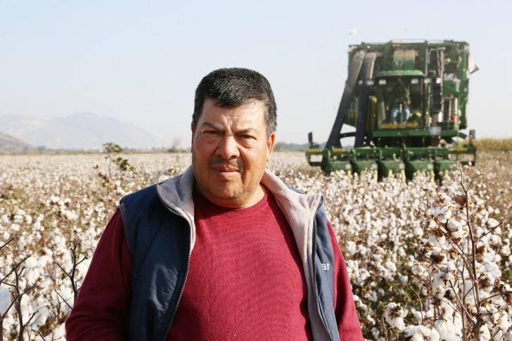 Söke Ovası’nda pamuk hasadında sona yaklaşıldı G3