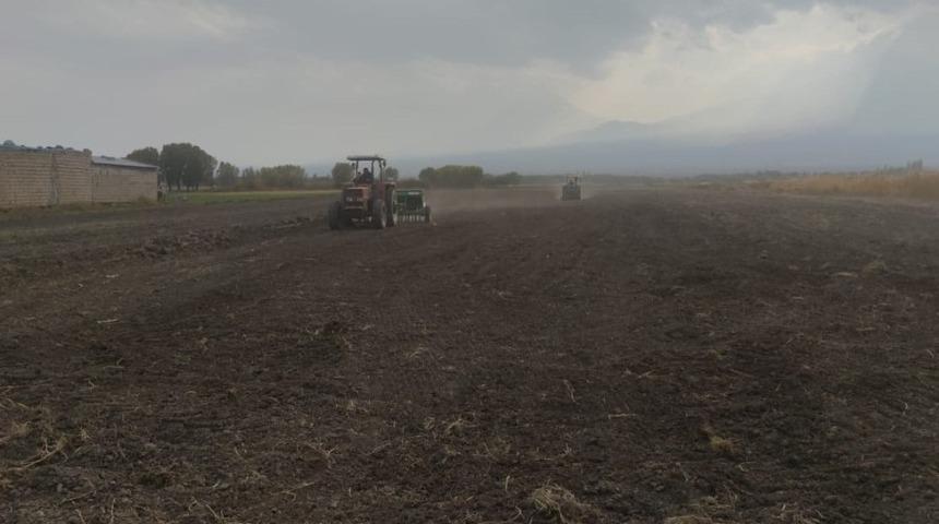 Iğdır’da yüksek verimli buğday ekimi yapıldı