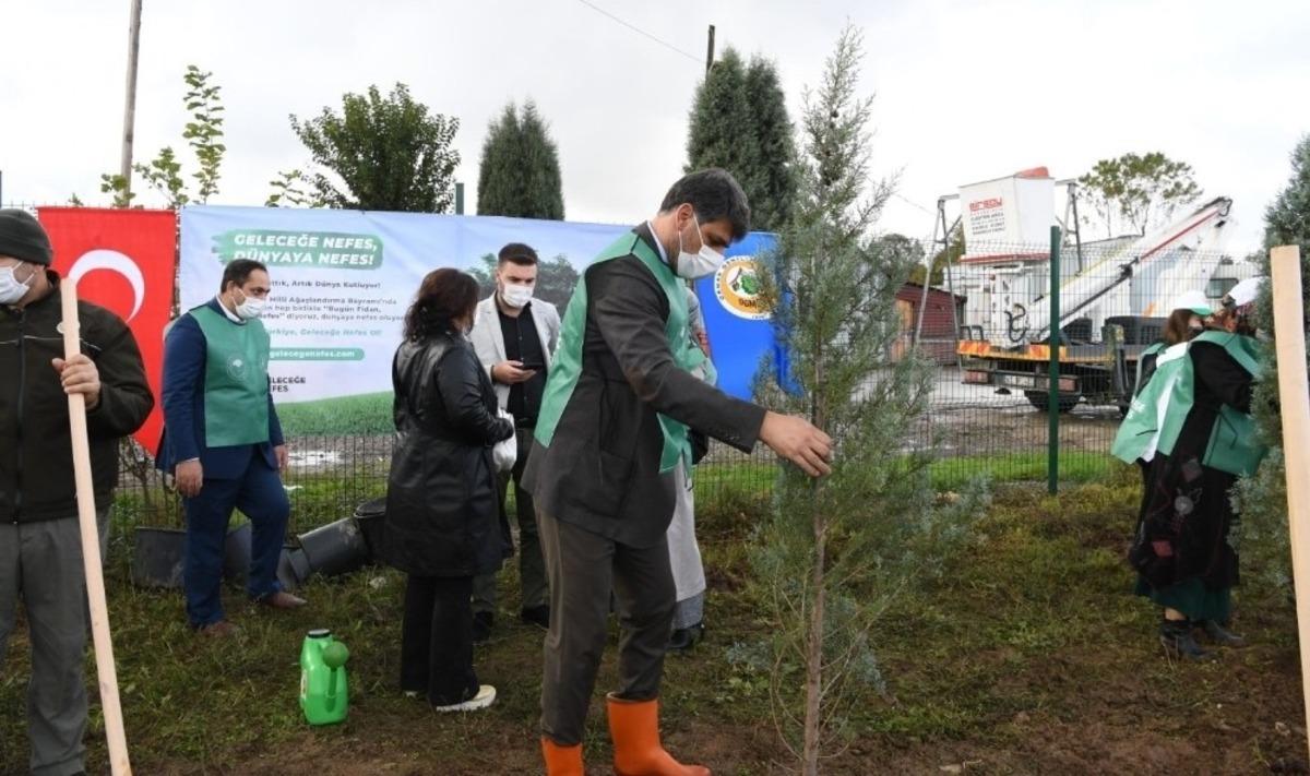 Kartepe&rsquo;de 2 bin fidan toprakla buluştu