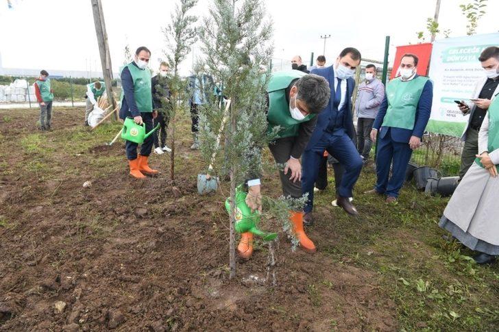 Kartepe’de 2 bin fidan toprakla buluştu G3