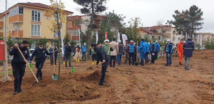 Gebze Gaziler Dağı,  fidanlar ile yeşerecek G2