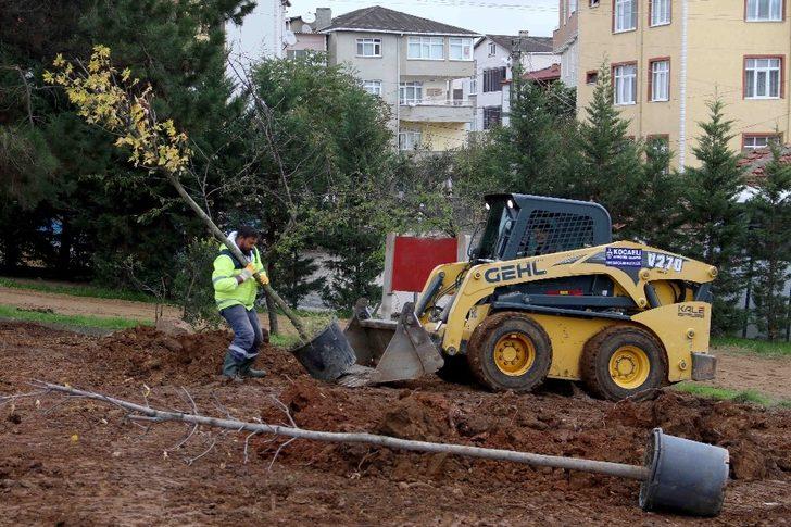 Gebze Gaziler Dağı,  fidanlar ile yeşerecek G3
