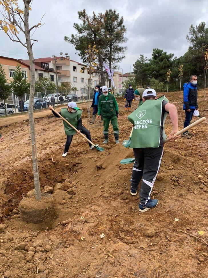 Gebze Gaziler Dağı,  fidanlar ile yeşerecek G4