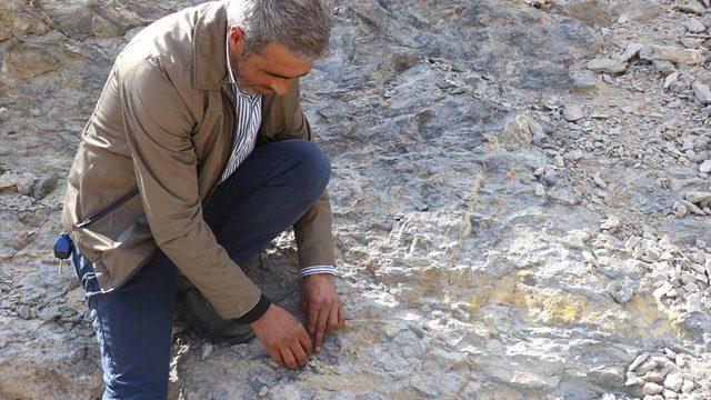 Taşı, toprağı altın köy! Rezerv müjdesi heyecan yarattı