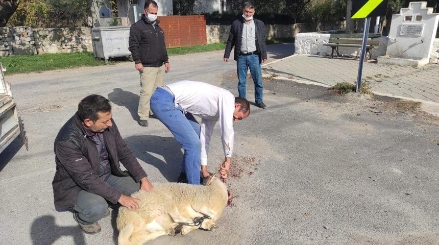 Kazaların &ouml;nlenmesi i&ccedil;in kurban kesip dua ettiler