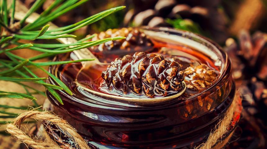 Koronavirüs çıkınca kıymete bindi! Çam kozalağı turşusu faydaları