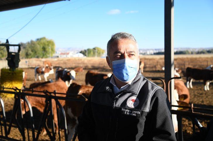 Kayseri Hayvancılığında Bir İlk “Gebe Düve İhracatı” Yapıldı G1