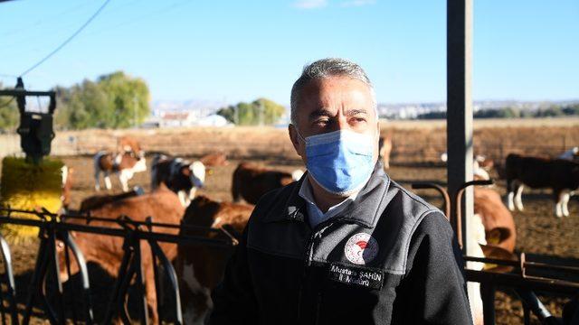 Kayseri Hayvancılığında Bir İlk “Gebe Düve İhracatı” Yapıldı