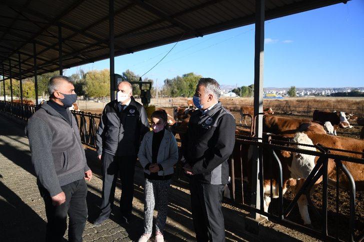 Kayseri Hayvancılığında Bir İlk “Gebe Düve İhracatı” Yapıldı G2