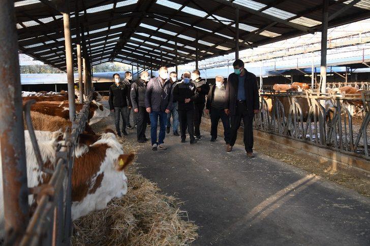 Kayseri Hayvancılığında Bir İlk “Gebe Düve İhracatı” Yapıldı G3