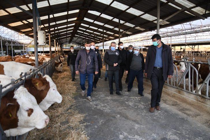 Kayseri Hayvancılığında Bir İlk “Gebe Düve İhracatı” Yapıldı G4