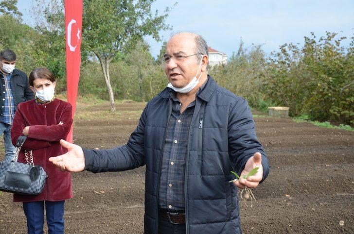 Salep artık Ünye’de de üretilecek G3