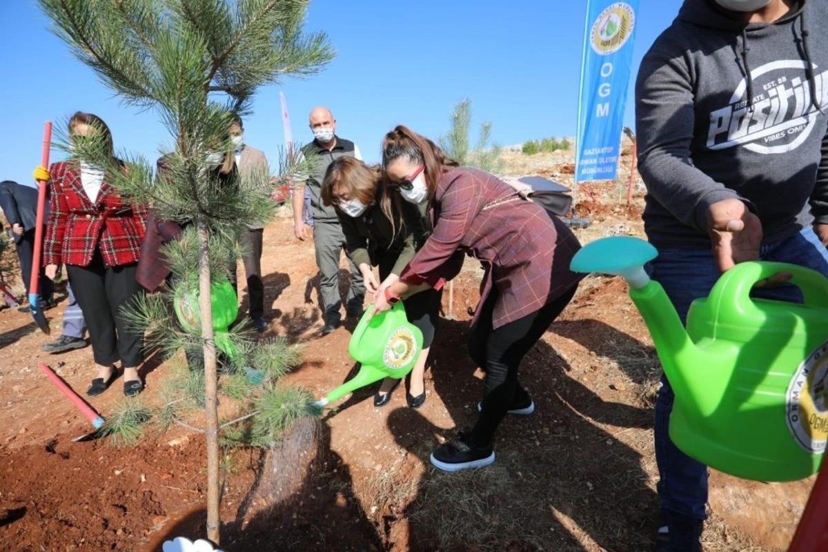 B&uuml;y&uuml;kşehir desteğiyle GAGİAD&rsquo;ın yeni hatıra ormanı kuruldu