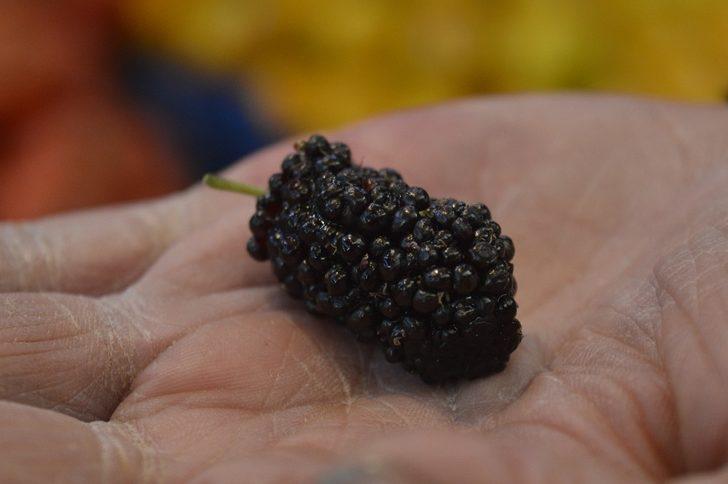 Yazın 10 liraya satılan karadut, kışın 50 liradan tezgahlardaki yerini aldı G3