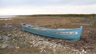  Türkiye'nin en büyüğüydü! Beyşehir Gölü'nde korkutan tablo