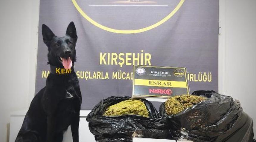 Patates &ccedil;uvallarından &ccedil;ıkanlar şoke etti