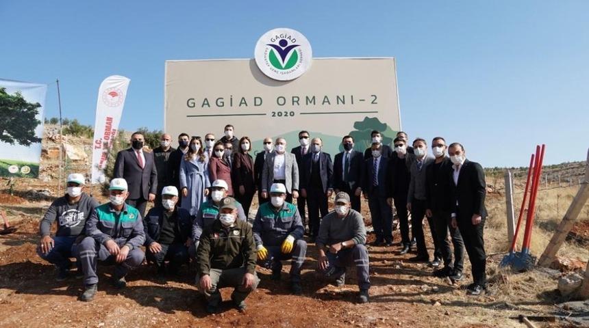 Korona kahramanları için fidan dikildi