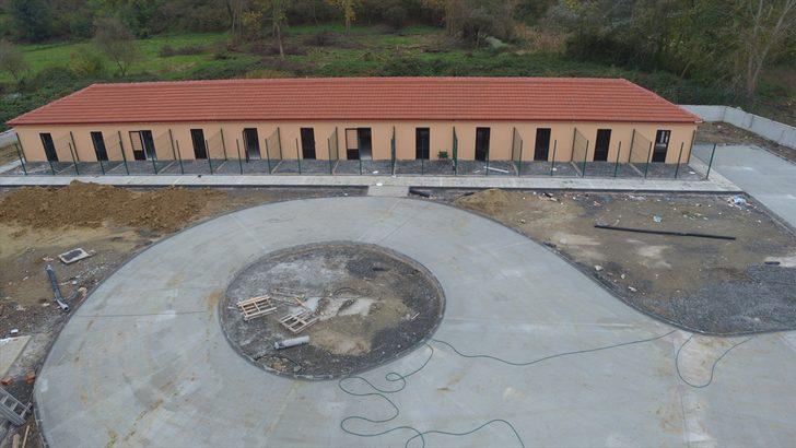 Sakarya'da bataklık alan sokak hayvanlarının yuvası olacak G1