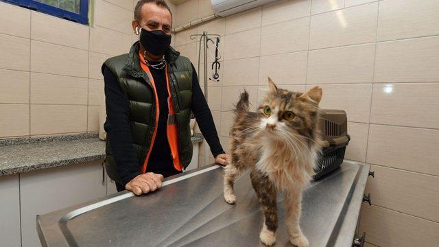 Depremzede kediyi Haluk Levent sahiplendi