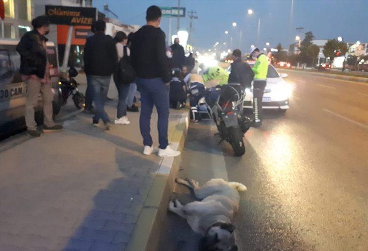 Köpeğe çarpan motosikletli ağır yaralandı G2
