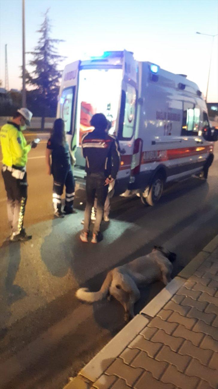 Köpeğe çarpan motosikletli ağır yaralandı G3