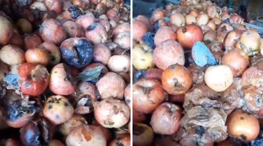 &Ccedil;&uuml;r&uuml;k elmaların meyve suyu yapılacağı iddiasıyla ilgili inceleme başlatıldı