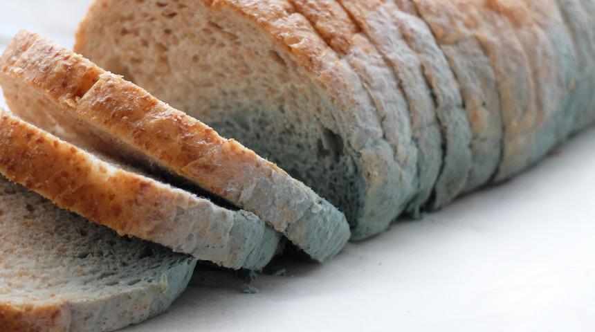 Küflü ekmek yenir mi? Bu konuya noktayı koyuyoruz! 
