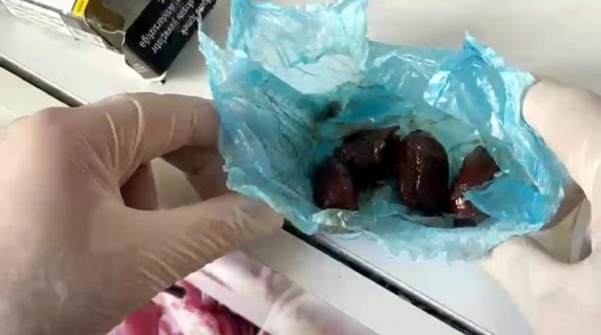 Bu yöntemle ilk kez karşılaşıldı! Hurmaya enjekte etmişler