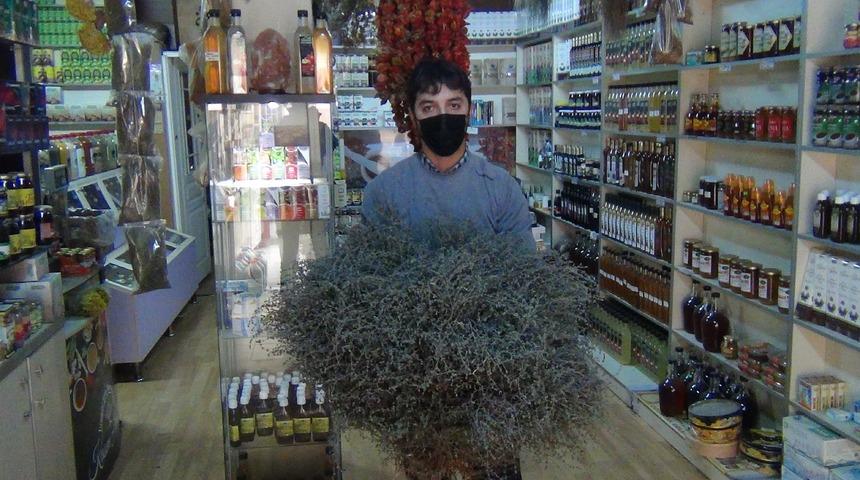 Şifası fiyatını artırdı! Faydasını öğrenen aktara koşuyor