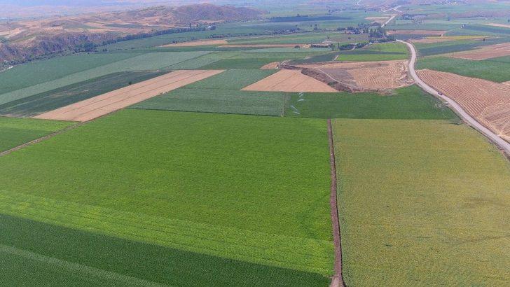 Amasya’da 306 bin dekar alan sulandı G2