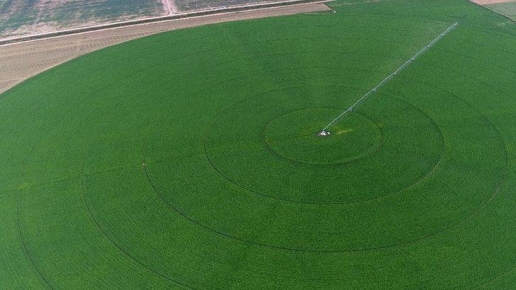 Amasya’da 306 bin dekar alan sulandı G5