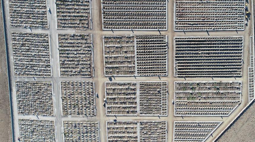 Ne olduğunu fark eden hayrete d&uuml;şt&uuml;! Bu g&ouml;r&uuml;nt&uuml; Erzurum'da &ccedil;ekildi