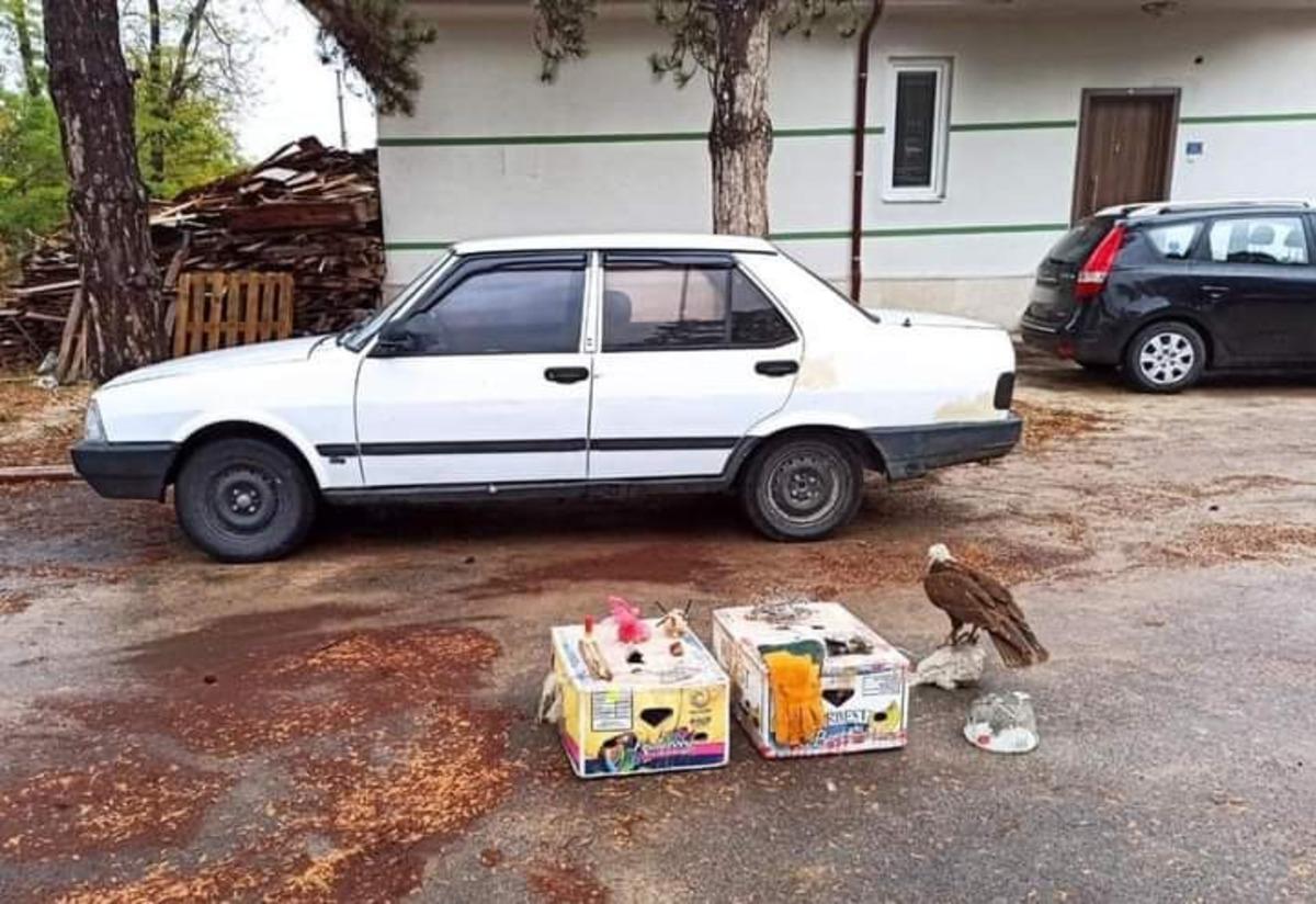 Konya&rsquo;da 9 avcıya 41 bin 780 lira ceza