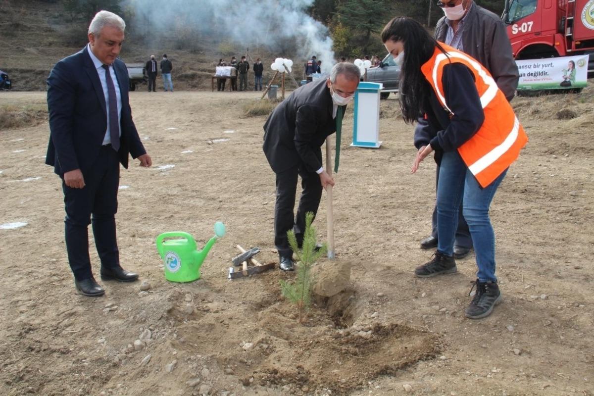 Tosya&rsquo;da bin adet fidan toprakla buluştu