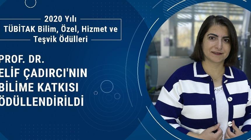 Prof. Dr. Elif &Ccedil;adırcı&rsquo;nın bilime katkısı &ouml;d&uuml;llendirildi