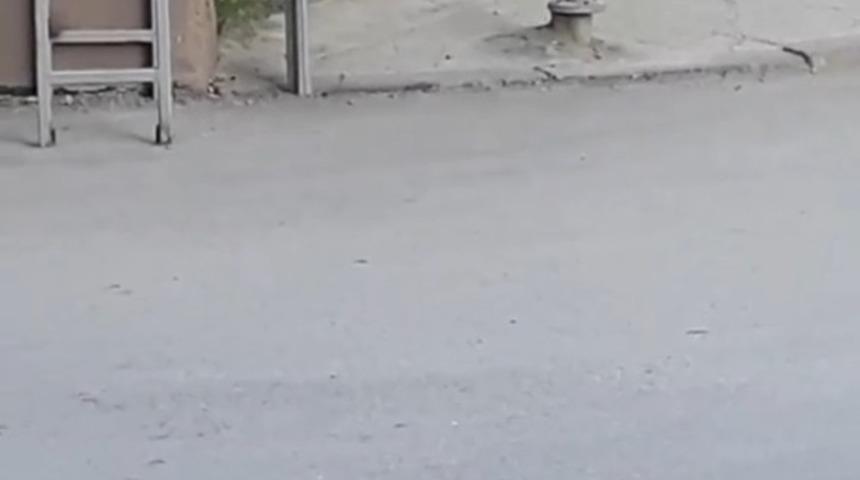 Bursa&rsquo;da pitbull dehşet sa&ccedil;tı