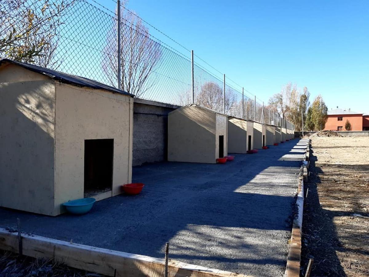 İmranlı&rsquo;da sokak hayvanları i&ccedil;in barınak inşa edildi