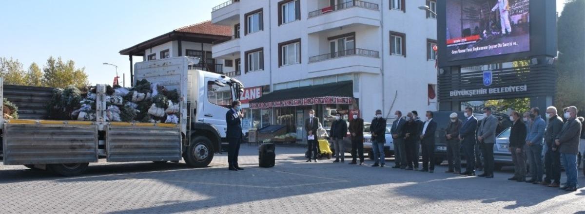 Nallıhanlı &uuml;reticilere lavanta fidesi dağıtımı devam ediyor